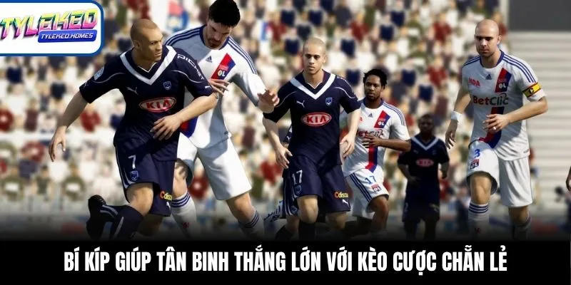 Bí kíp giúp tân binh thắng lớn với kèo cược chẵn lẻ