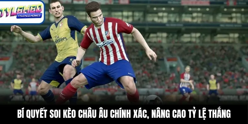Bí quyết soi kèo châu Âu chính xác, nâng cao tỷ lệ thắng