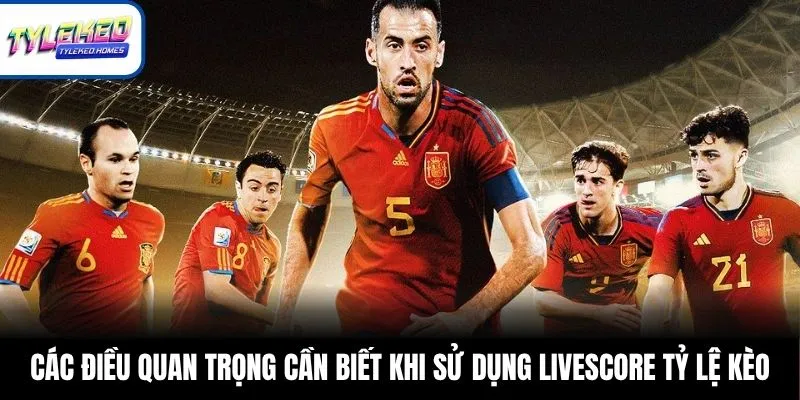 Các điều quan trọng cần biết khi sử dụng LiveScore Tỷ Lệ Kèo
