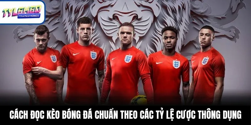 Cách đọc kèo bóng đá chuẩn theo các tỷ lệ cược thông dụng