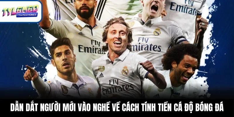 Dẫn dắt người mới vào nghề về cách tính tiền cá độ bóng đá