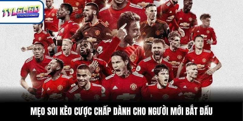 Mẹo soi kèo cược chấp dành cho người mới bắt đầu