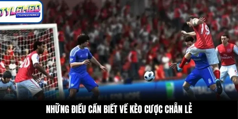 Những điều cần biết về kèo cược chẵn lẻ
