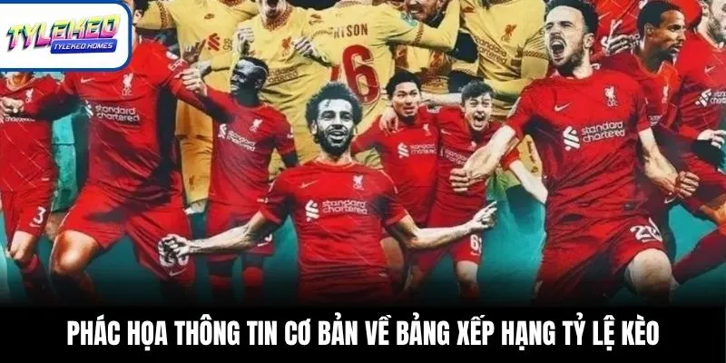 Thông tin cơ bản về bảng xếp hạng Tỷ Lệ Kèo