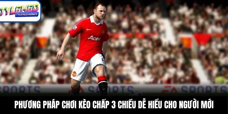 Phương pháp chơi kèo chấp 3 chiều dễ hiểu cho người mới