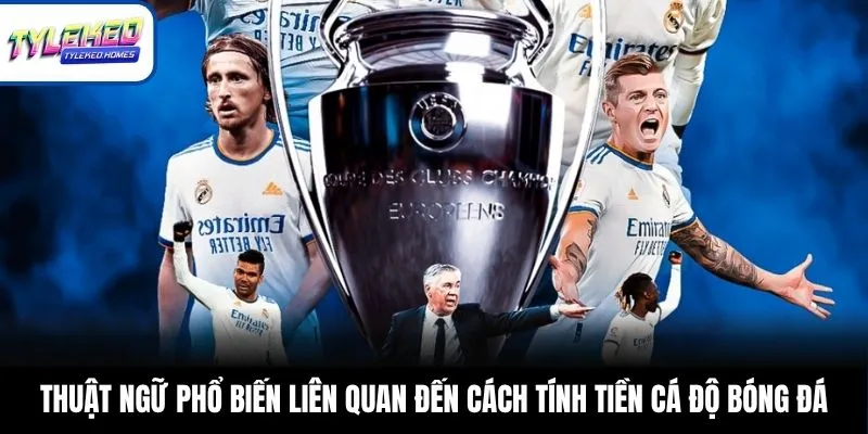 Thuật ngữ phổ biến liên quan đến cách tính tiền cá độ bóng đá