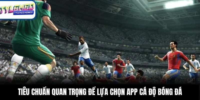 Tiêu chuẩn quan trọng để lựa chọn app cá độ bóng đá