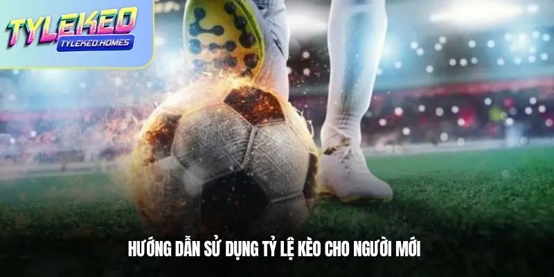 Hướng dẫn tham gia, theo dõi, truy cập Tỷ Lệ Kèo