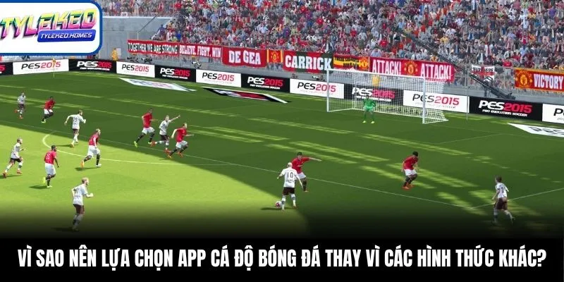 Vì sao nên lựa chọn app cá độ bóng đá thay vì các hình thức khác?